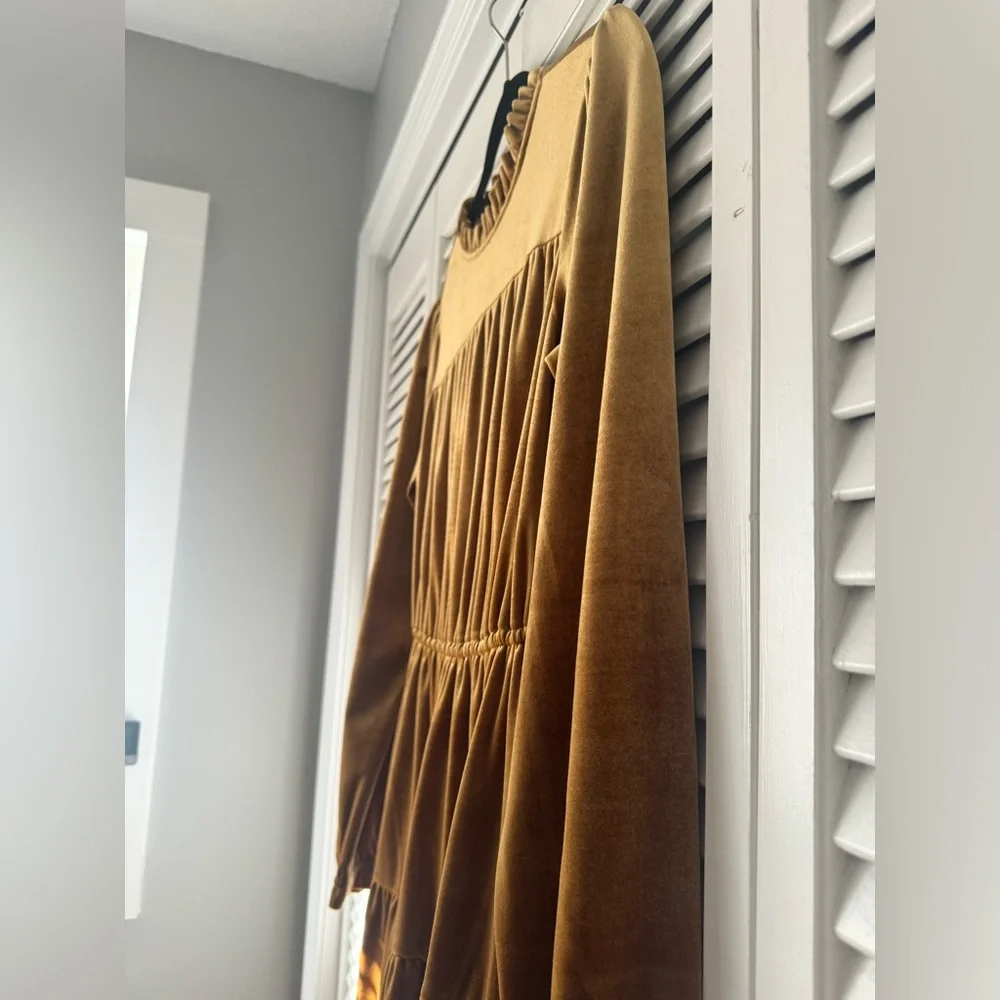 Roolee velvet dress - Picture 5 of 7